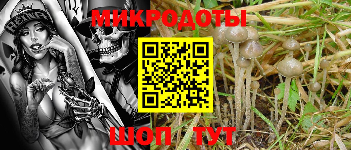 Псилоцибиновые грибы ЛСД Старая Купавна