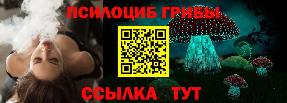 где можно купить   Вход с VPN  Галлюциногенные грибы Magic Shrooms  Старая Купавна  Псилоцибиновые грибы Psilocybe 